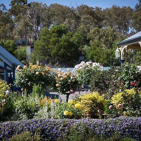 Willows Motel Goulburn Esterno foto